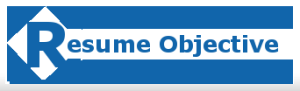 FireShot Screen Capture #291 - 'Resume Objective Examples - Learn how to write resume objectives for different job descriptions' - www_resumeobjectiveexamples_net